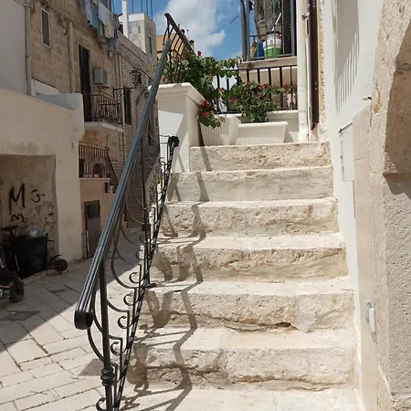 Quinto Vignale Panzió