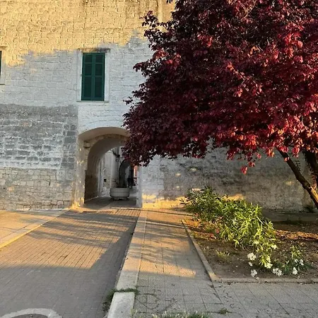 Quinto Vignale